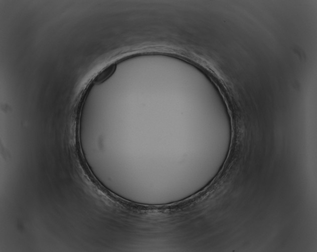 X0000090501504200708031157