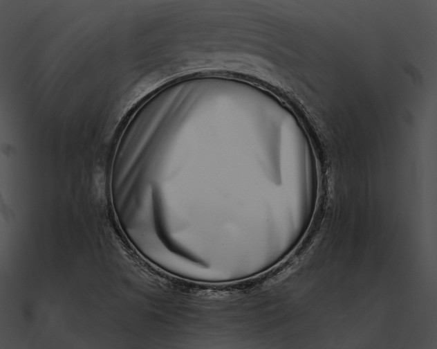 X0000090501505200708031157