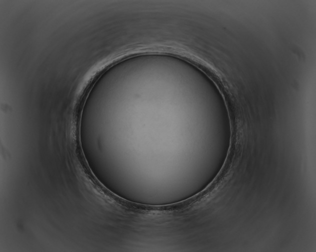 X0000090501506200708031157