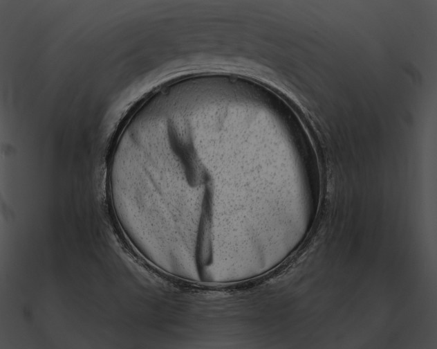 X0000090501507200708031157