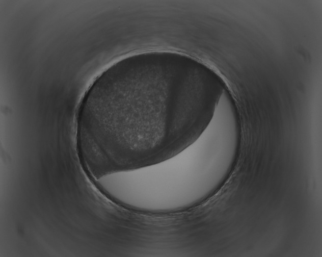 X0000090501508200708031157