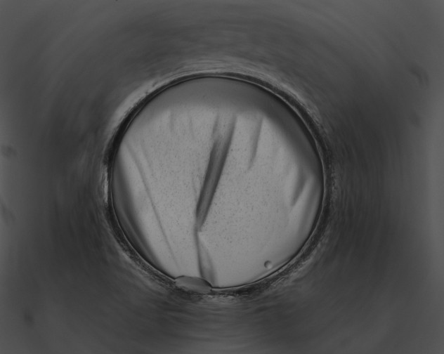 X0000090501509200708031157