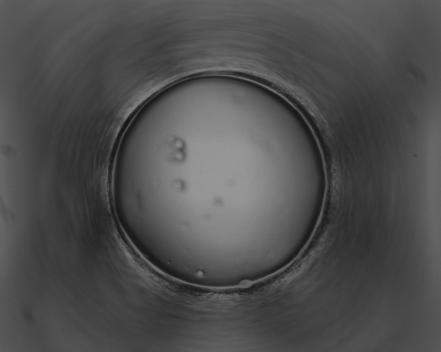 X0000090501513200708031157