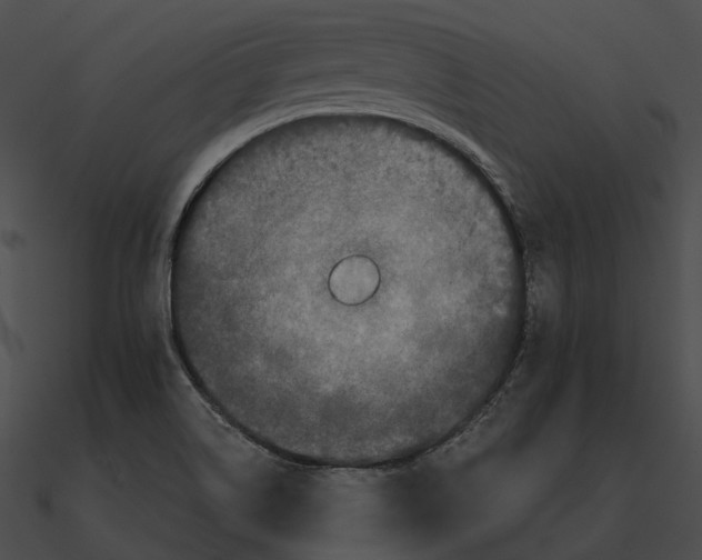 X0000090501514200708031157