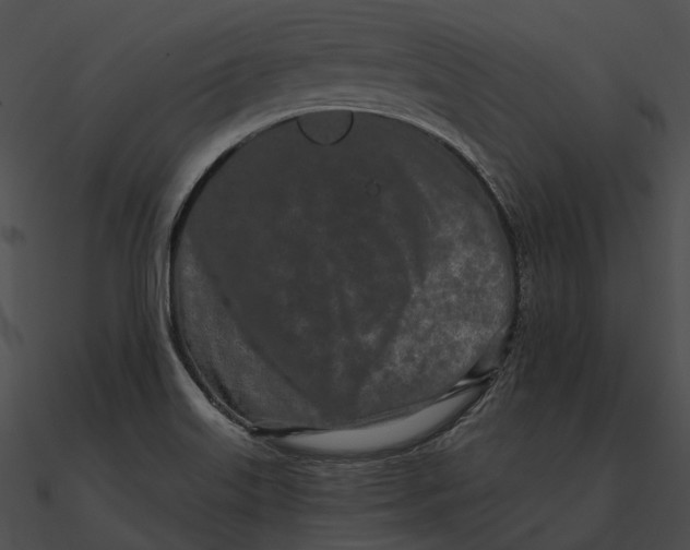 X0000090501515200708031157