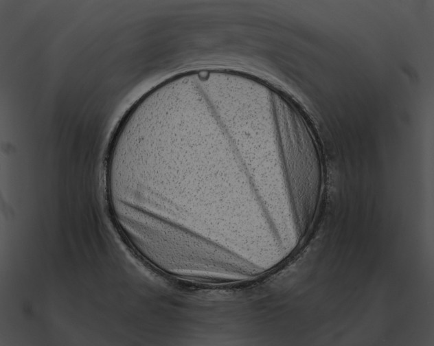 X0000090501517200708031157