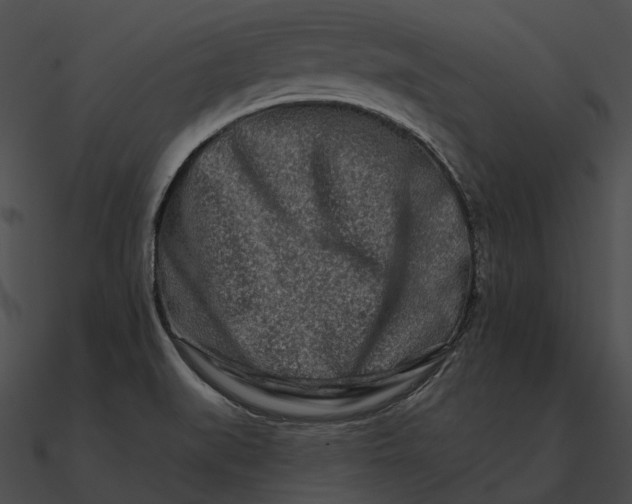 X0000090501519200708031157