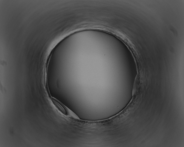 X0000090501520200708031157