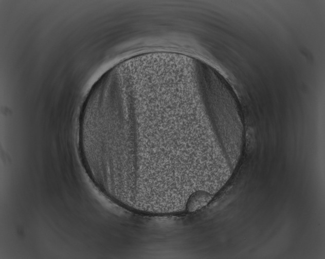 X0000090501523200708031157