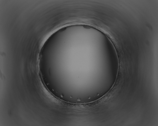 X0000090501524200708031157