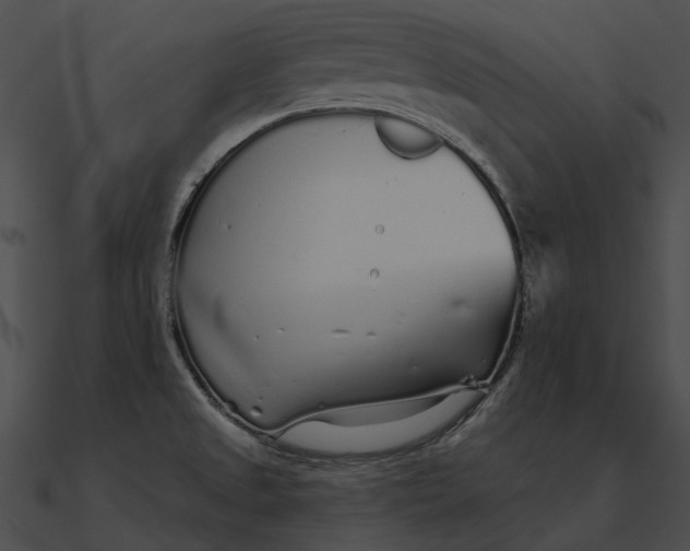 X0000090501525200708031157