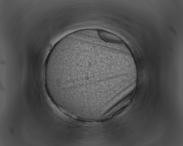 X0000090501526200708031157