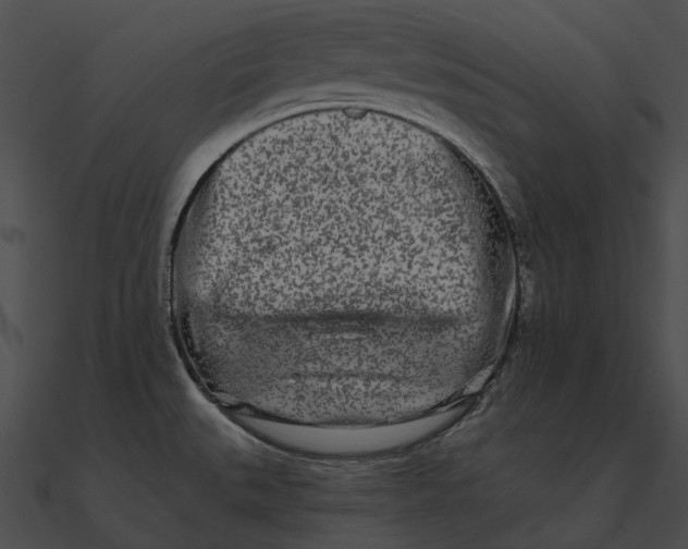 X0000090501527200708031157