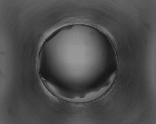 X0000090501528200708031157