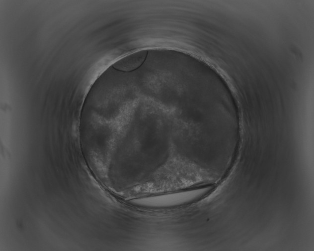 X0000090501529200708031157