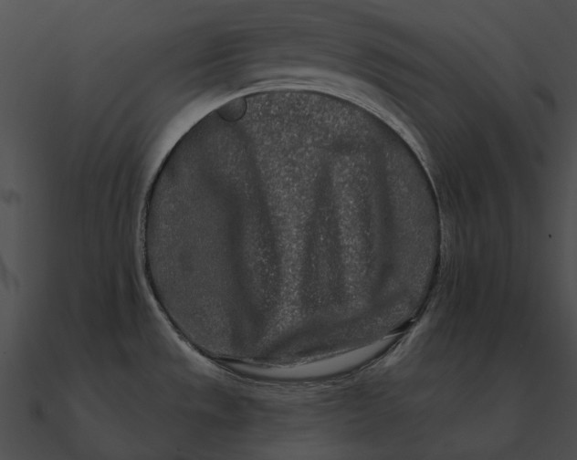 X0000090501533200708031157