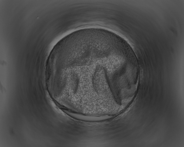 X0000090501534200708031157