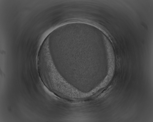 X0000090501535200708031157