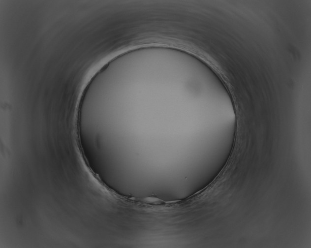 X0000090501536200708031157