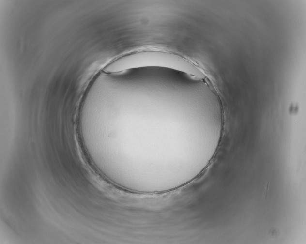 X0000090500001200708102251