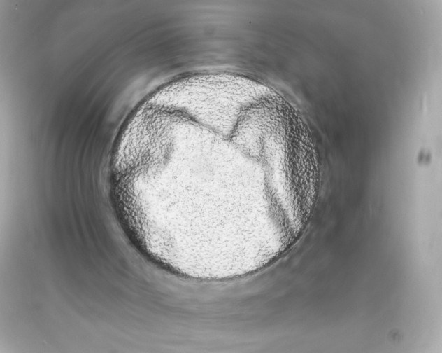 X0000090500002200708102251