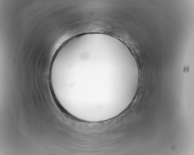 X0000090500003200708102251