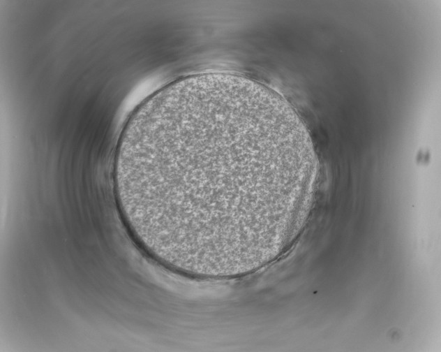 X0000090500004200708102251