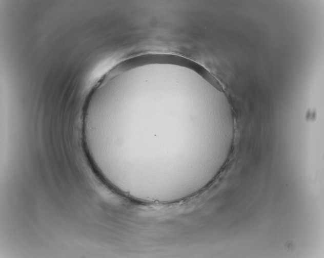X0000090500005200708102251