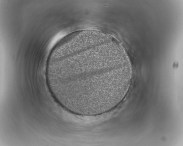 X0000090500006200708102251