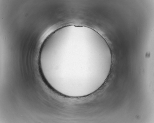 X0000090500007200708102251