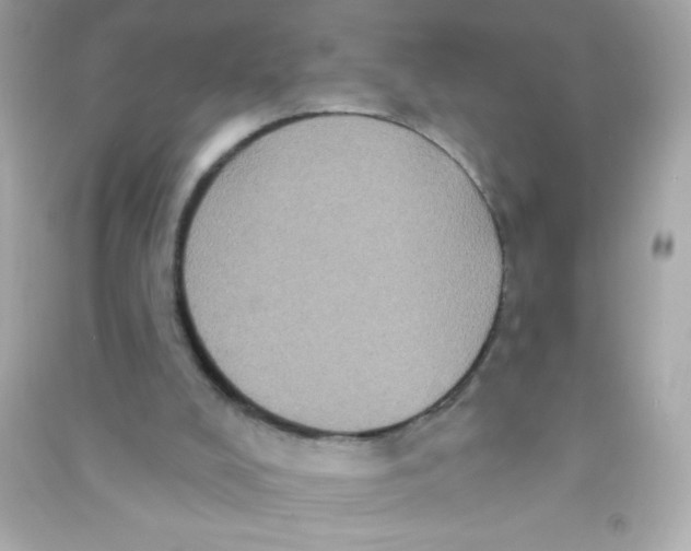 X0000090500008200708102251