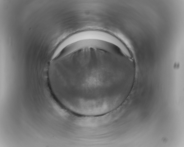 X0000090500009200708102251