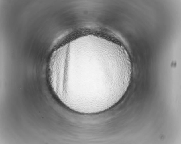X0000090500010200708102251