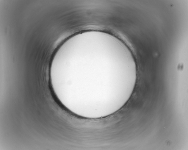 X0000090500011200708102251