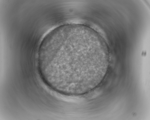X0000090500012200708102251