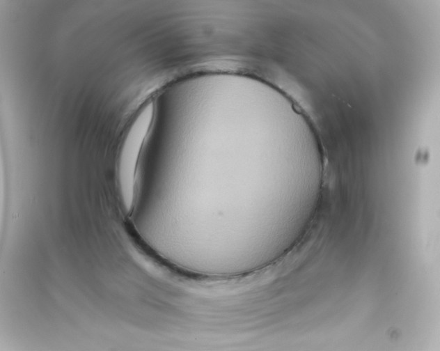 X0000090500013200708102251