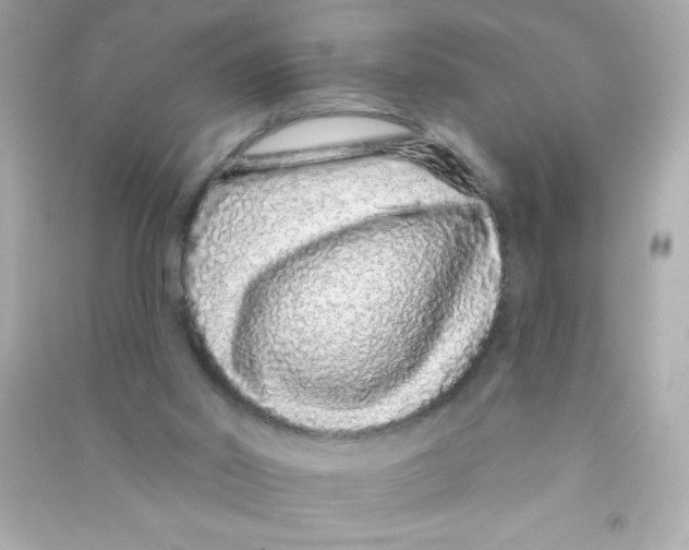 X0000090500014200708102251