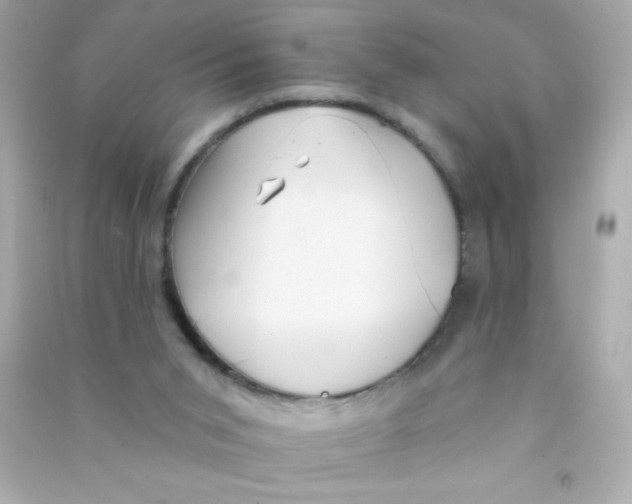 X0000090500015200708102251