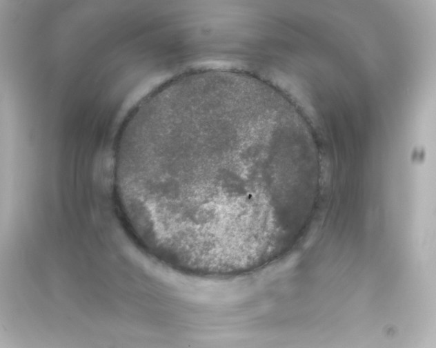 X0000090500016200708102251