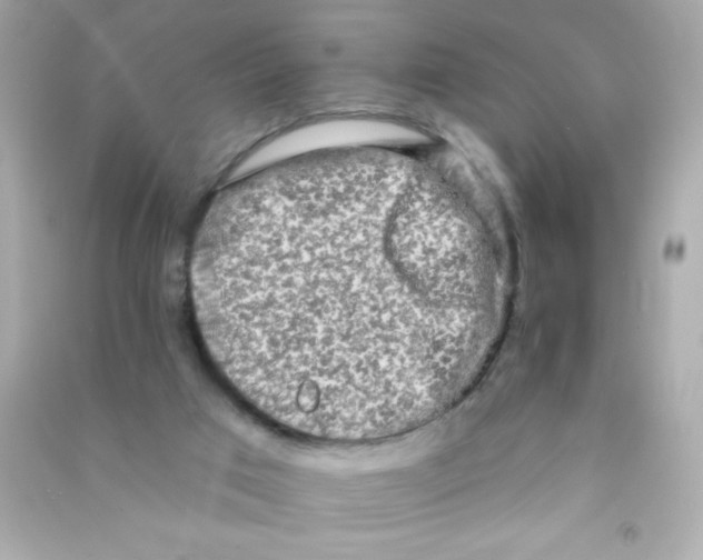 X0000090500017200708102251
