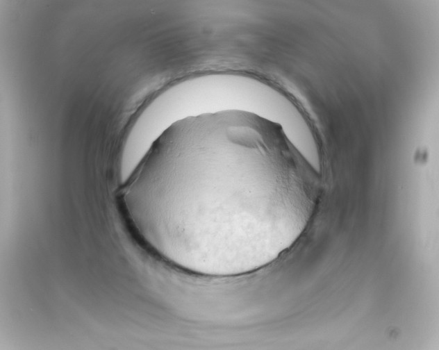 X0000090500019200708102251