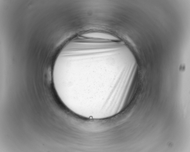 X0000090500020200708102251