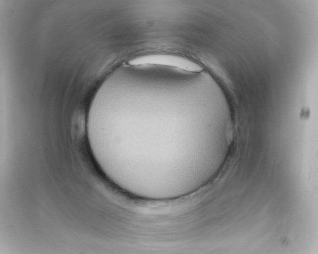 X0000090500021200708102251