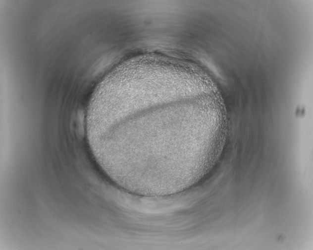 X0000090500022200708102251