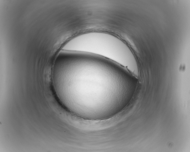 X0000090500023200708102251