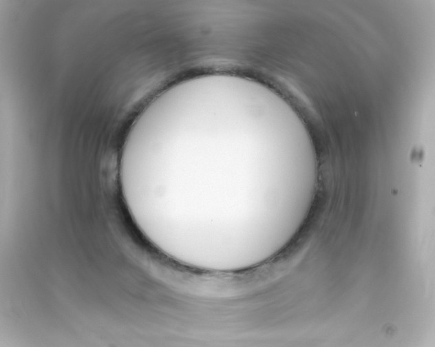 X0000090500024200708102251