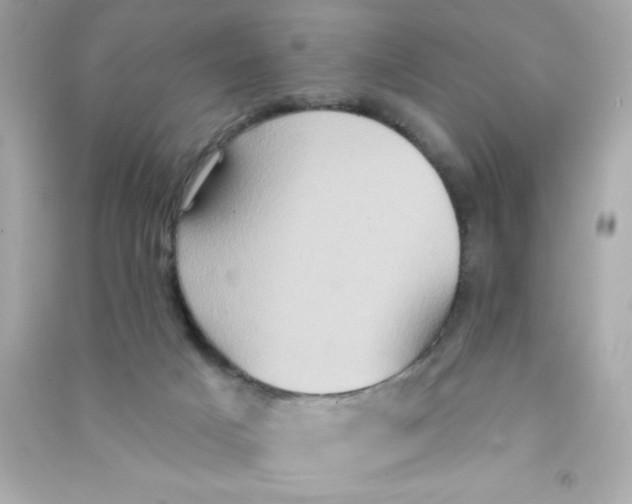 X0000090500025200708102251