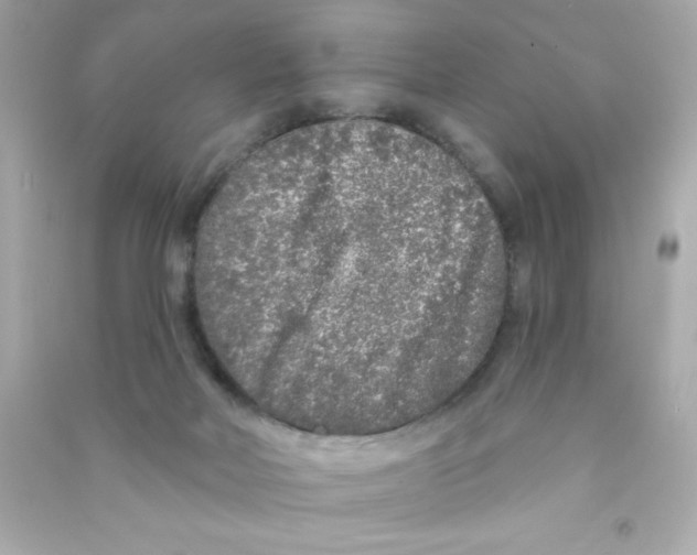 X0000090500026200708102251