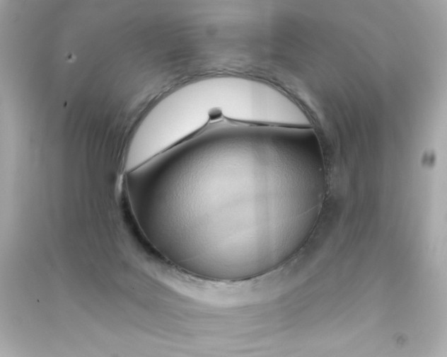 X0000090500027200708102251