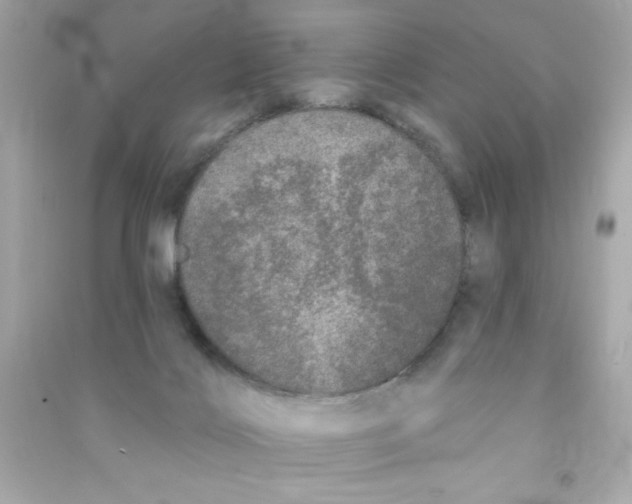 X0000090500028200708102251